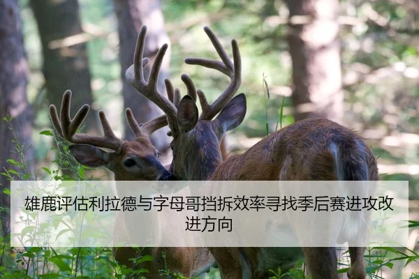 雄鹿评估利拉德与字母哥挡拆效率寻找季后赛进攻改进方向