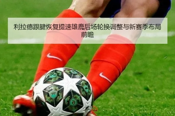 利拉德跟腱恢复提速雄鹿后场轮换调整与新赛季布局前瞻